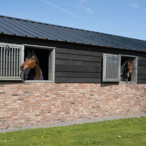 VDO Paardenstallen - Stal M&M - 03854v