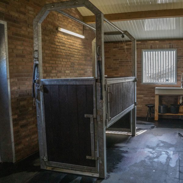 VDO Paardenstallen - Stal M&M - Een behandelbox - 03775