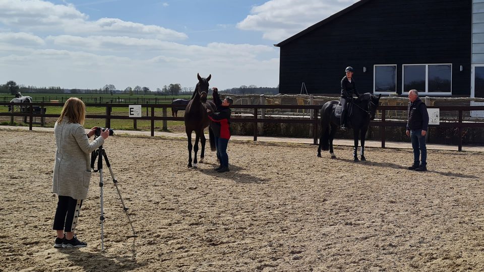 VDO Paardenstallen - Stalbezoek 04