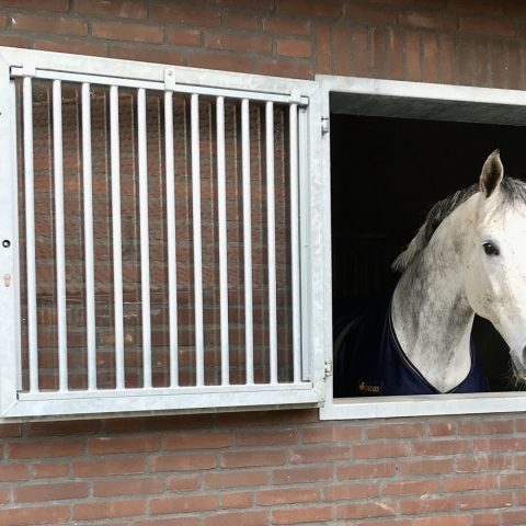 VDO Paardenstallen - Project Steenbakkers