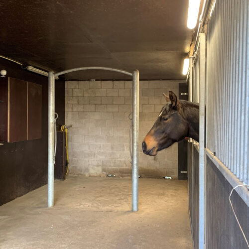 VDO Paardenstallen - Wasplaats - Bijnen 01