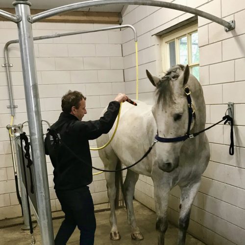 VDO Paardenstallen - Wasplaats