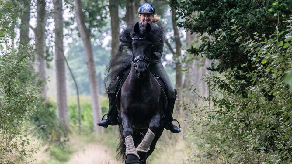 VDO Paardenstallen - Yvonne Koopman - 00806