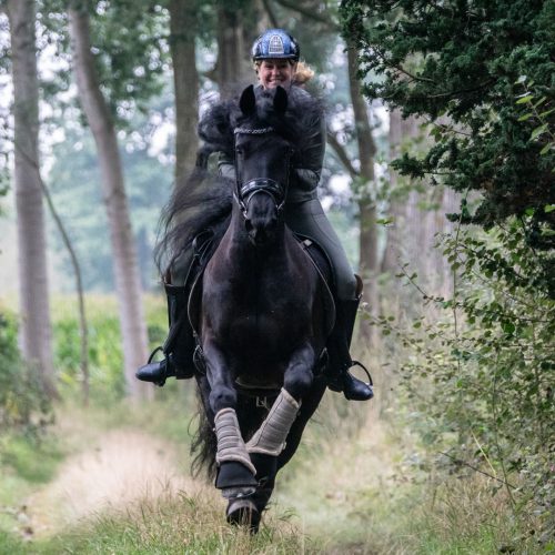 De Friezen van Yvonne