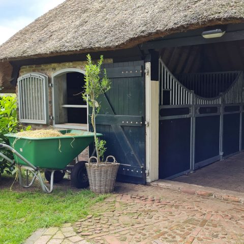 VDO Paardenstallen - Yvonne Koopman - 145214v