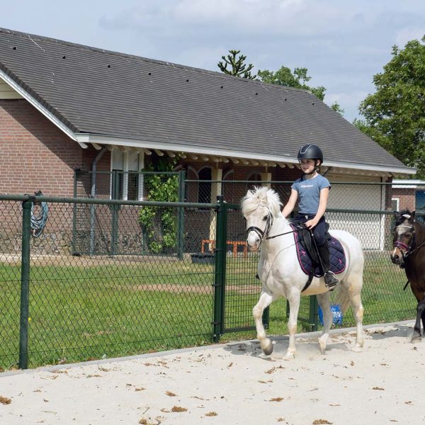 Van den Broek - VDO Paardenstallen - 05316 Paardenstallen van Jeslin en Quince