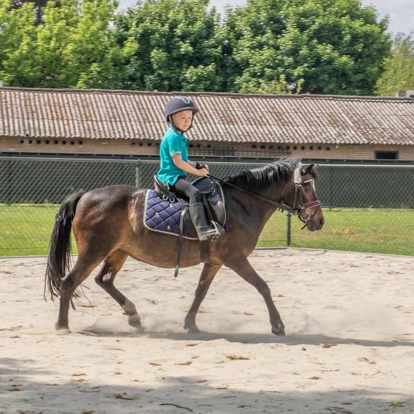 Van den Broek - VDO Paardenstallen - 05351 Paardenstallen van Jeslin en Quince