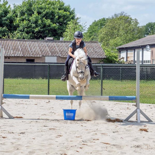 Van den Broek - VDO Paardenstallen - 05356 Paardenstallen van Jeslin en Quince