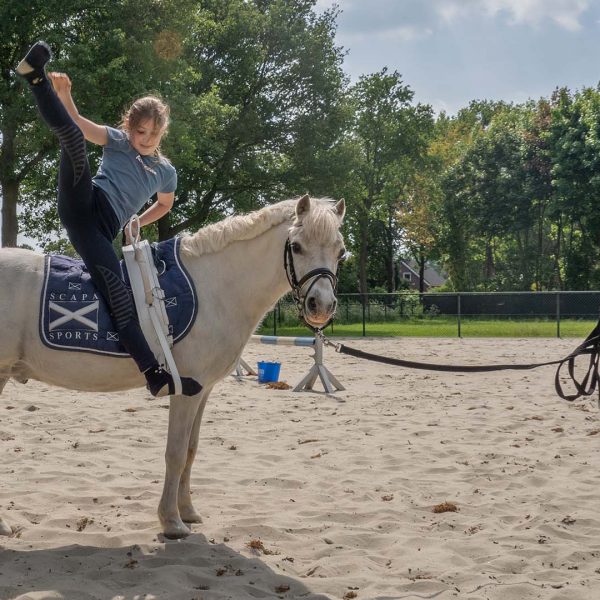Van den Broek - VDO Paardenstallen - 05380 Paardenstallen van Jeslin en Quince